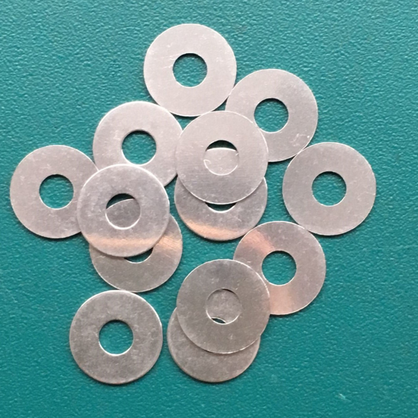 Stainless steel gasket